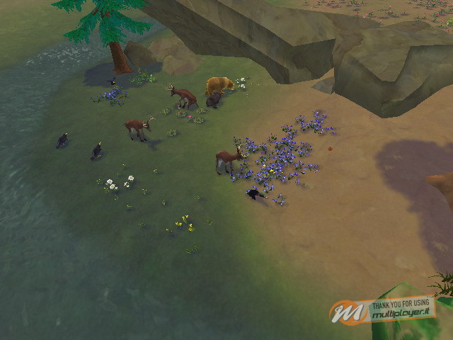 SimAnimals
