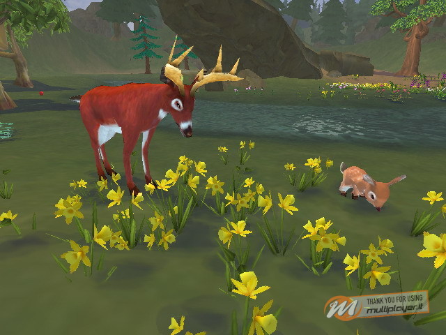 SimAnimals