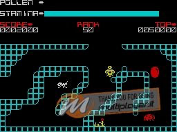 The Birds and the Bees II: Antics