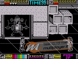 Double Dragon II: The Revenge