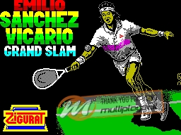 Emilio Sanchez Vicario Grand Slam