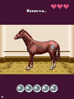 Scuola d'Equitazione