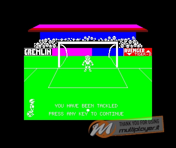 Footballer of the Year