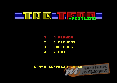 All American Tag-Team Wrestling