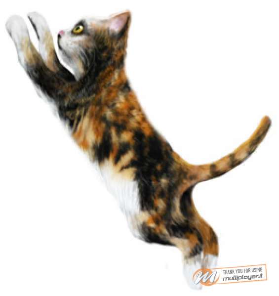 The Sims 2: Live With Friends & Pets