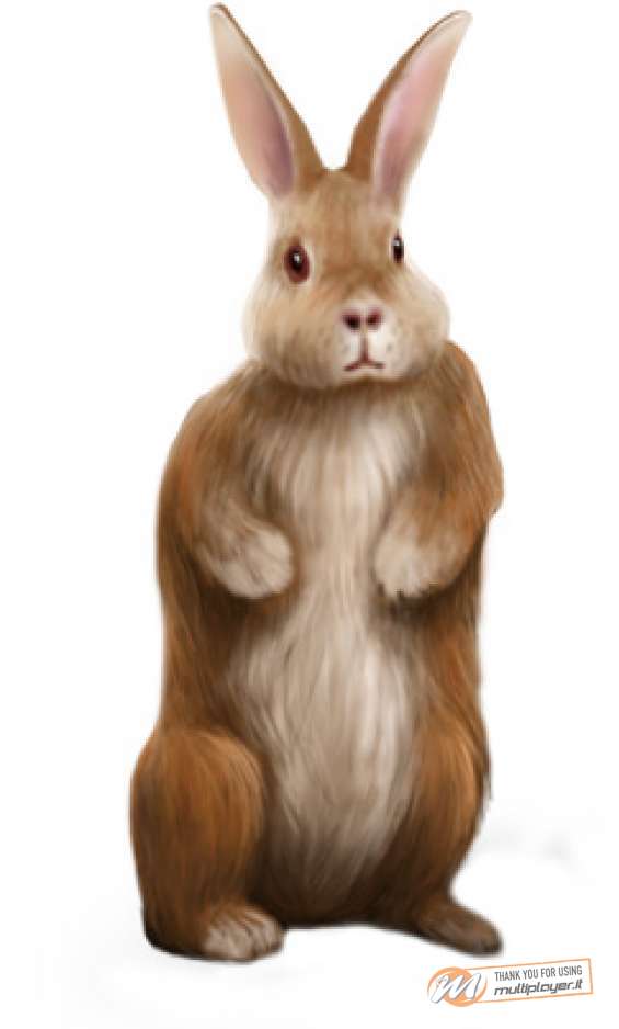 The Sims 2: Live With Friends & Pets