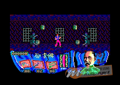 Choy-Lee-Fut Kung-Fu Warrior