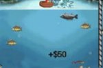 Redneck Fishin' - Notizia
