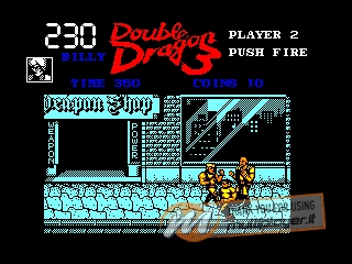 Double Dragon III: The Rosetta Stone