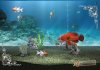 My Aquarium