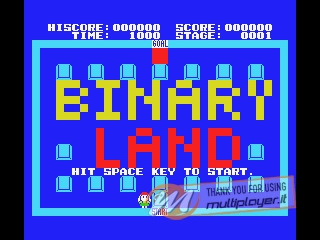 Binary Land