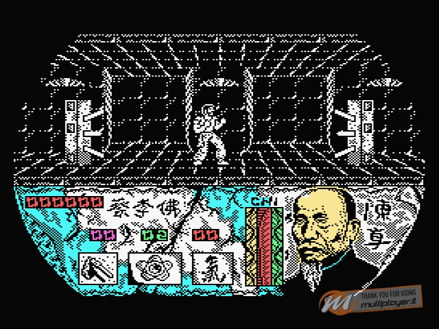 Choy-Lee-Fut Kung-Fu Warrior