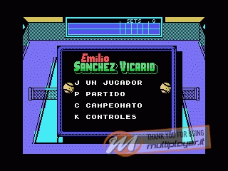 Emilio Sanchez Vicario Grand Slam