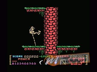 Livingstone Supongo 2