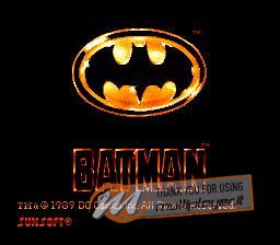 Batman: The Video Game