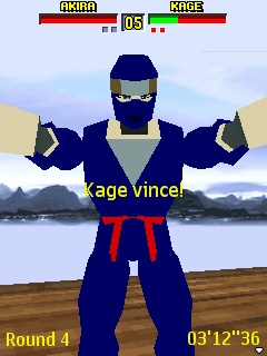 Virtua Fighter Mobile