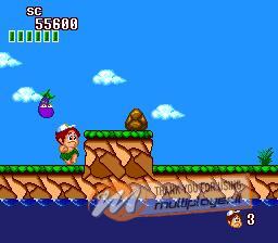 New Adventure Island