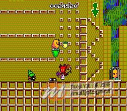 The New Zealand Story