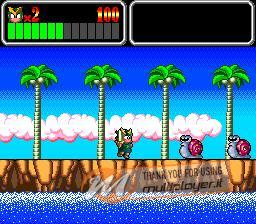 Wonder Boy III: Monster Lair