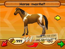 Giulia Passione Equitazione