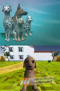 Il Mio Cucciolo: Fidi Eroi