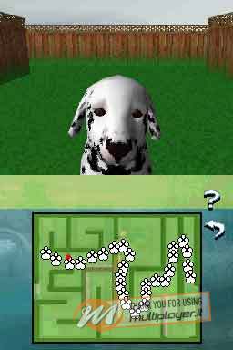 Il Mio Cucciolo: Fidi Eroi