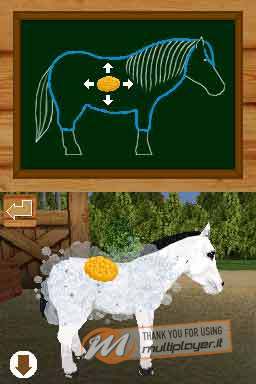 Il Mio Cucciolo: Teneri Pony