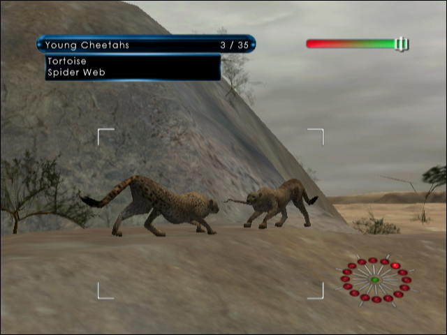 Wild Earth: African Safari