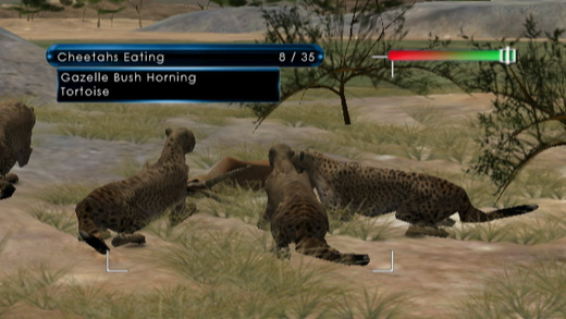 Wild Earth: African Safari