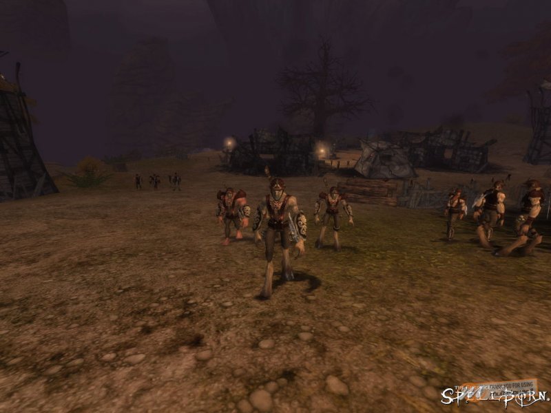 The Chronicles of Spellborn