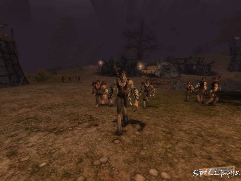 The Chronicles of Spellborn