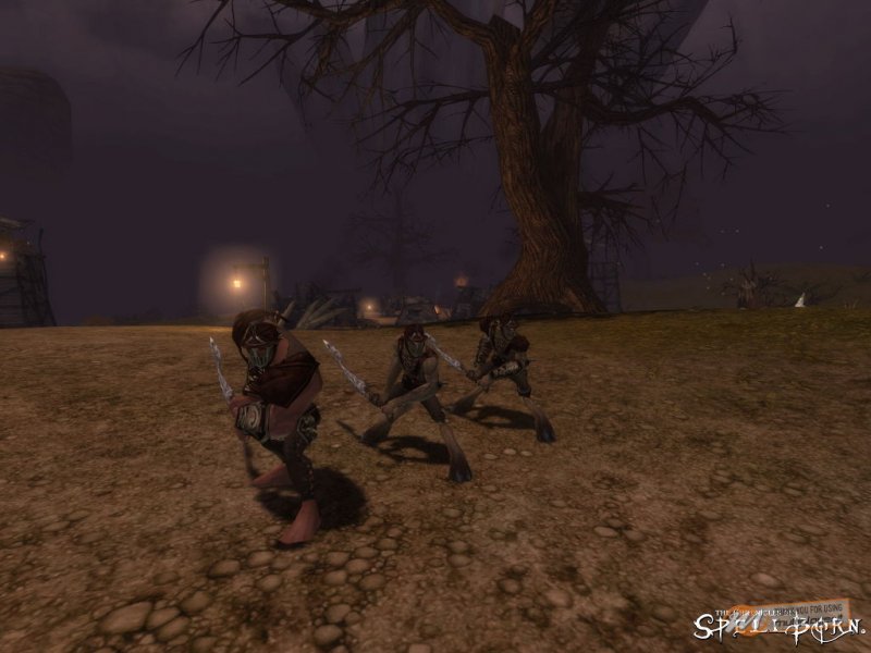 The Chronicles of Spellborn