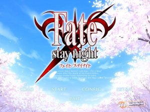 Fate/Stay Night