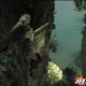 Tomb Raider: Underworld filmato #19 Gameplay pt.3