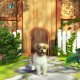 Petz Sports: Dog Playground - Trucchi