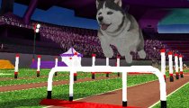 Petz Sports Dog Playground - Trailer