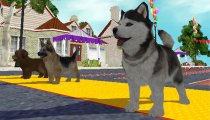 Petz Sports Dog Playground - Gameplay