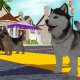 Petz Sports Dog Playground - Gameplay