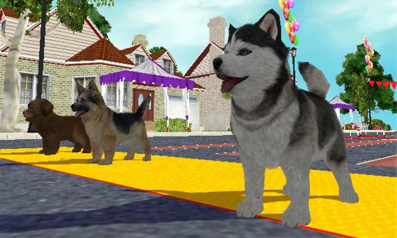 Petz Sports: Dog Playground