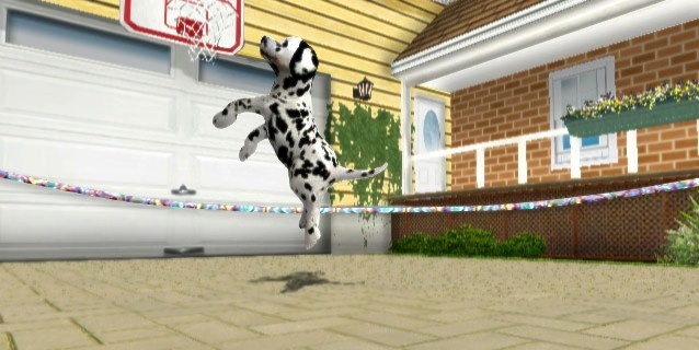 Petz Sports: Dog Playground