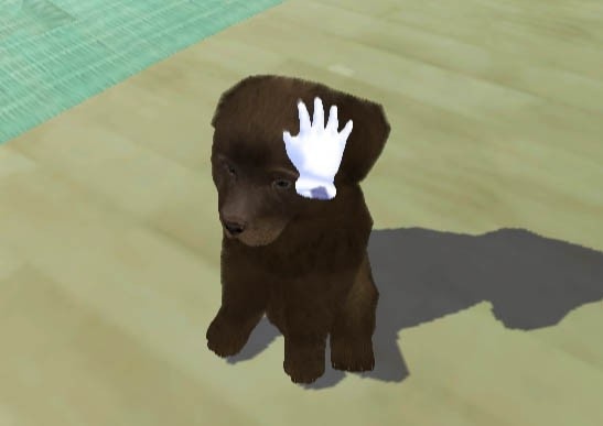 Petz Sports: Dog Playground