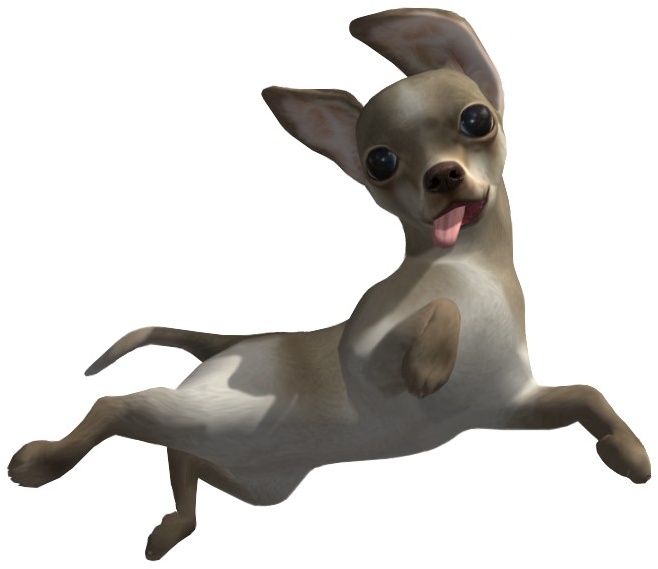 Petz Sports: Dog Playground