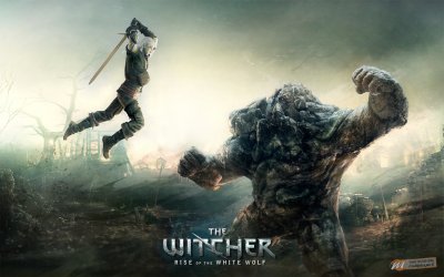 The Witcher: Rise of the White Wolf