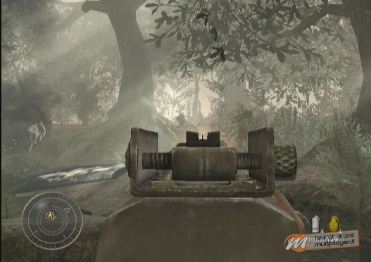 Call of Duty: World at War