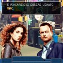 CSI: New York