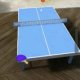 Table Tennis Star (iPhone)