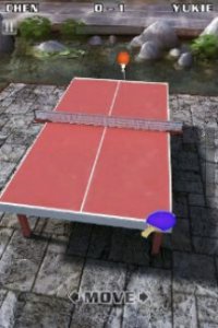 Table Tennis Star