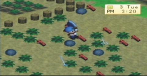 Harvest Moon: Boy & Girl