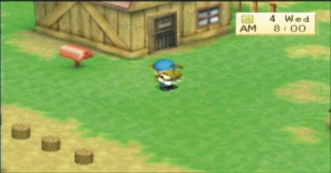 Harvest Moon: Boy & Girl