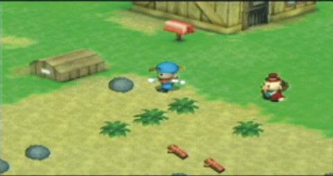 Harvest Moon: Boy & Girl